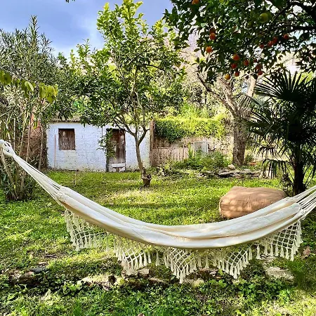 Garden Paradise - New Διαμέρισμα Lisboa